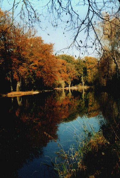 Englischer Garten